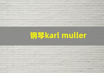 钢琴karl muller